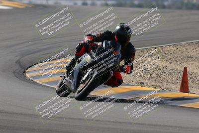 media/Nov-05-2022-SoCal Trackdays (Sat) [[f8d9b725ab]]/Turns 9 and 8 (1050am/